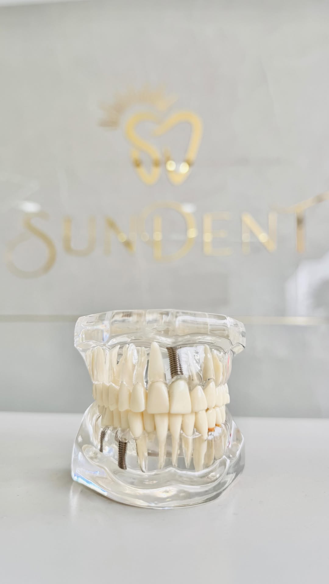 Dental model